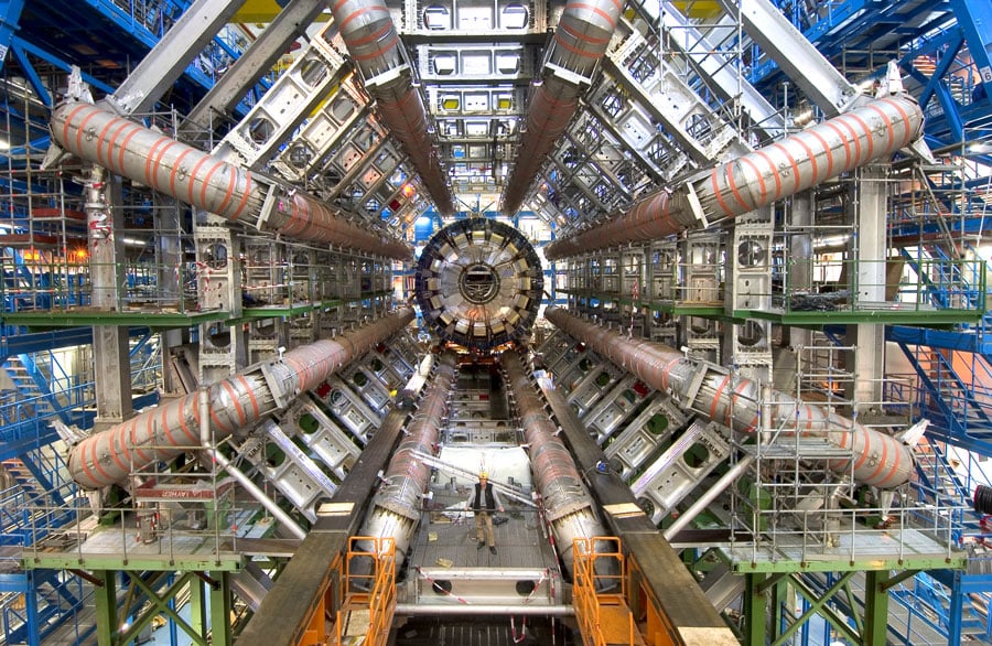 The W Boson