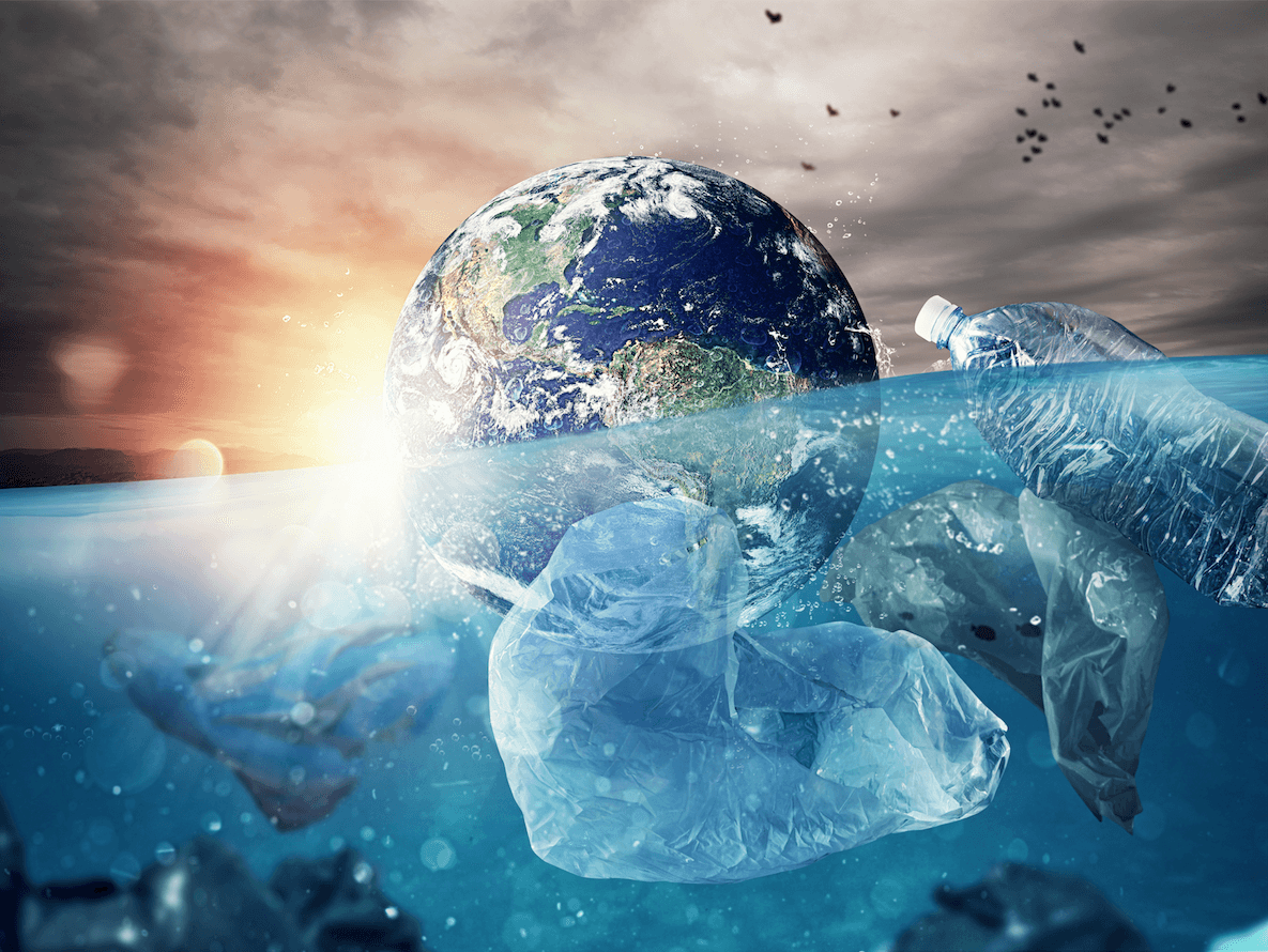Plastic-eating Bacteria