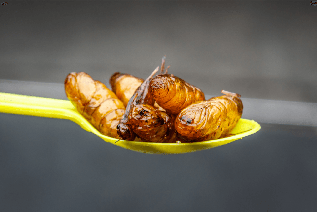 Foods of the Future