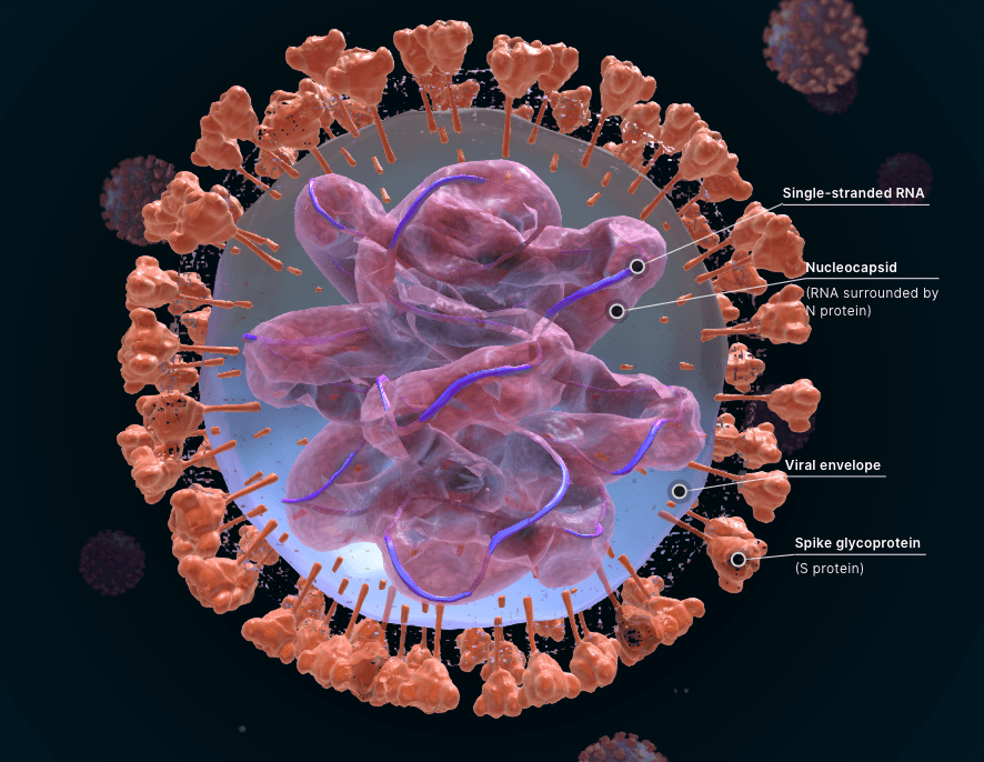 Virology